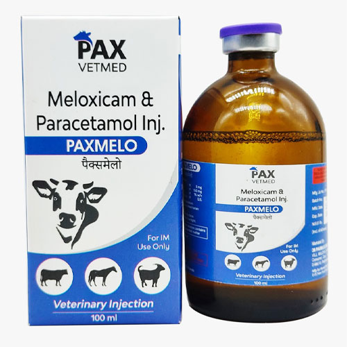 Meloxicam & Paracetamol Injection